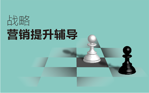 戰(zhàn)略營(yíng)銷提升培訓(xùn)輔導(dǎo)